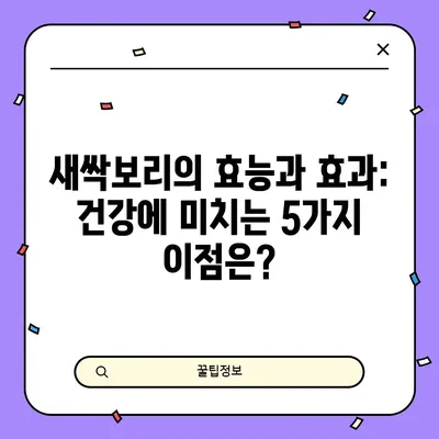 새싹보리의 효능과 효과: 건강에 미치는 5가지 이점은?