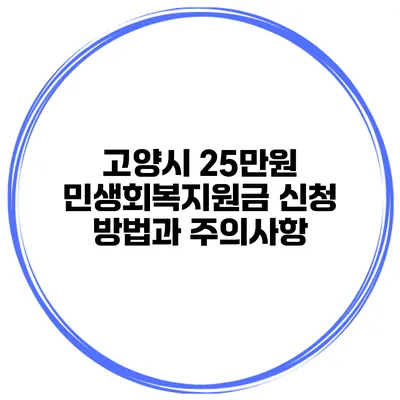 고양시 25만원 민생회복지원금 신청 방법과 주의사항