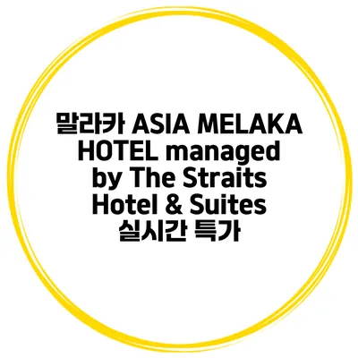 말라카 ASIA MELAKA HOTEL managed by The Straits Hotel & Suites 실시간 특가