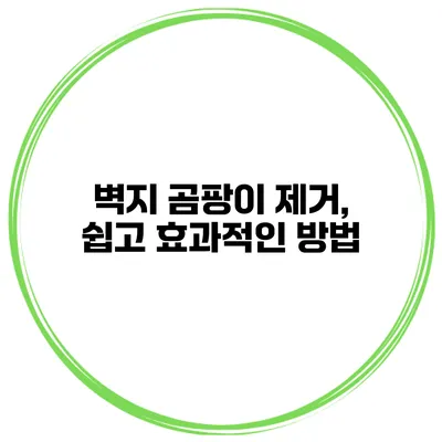 벽지 곰팡이 제거, 쉽고 효과적인 방법