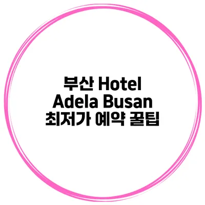 부산 Hotel Adela Busan 최저가 예약 꿀팁