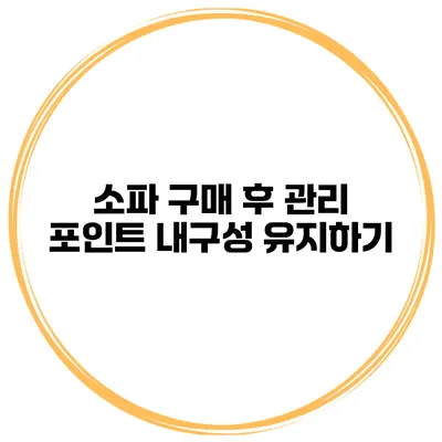 소파 구매 후 관리 포인트 내구성 유지하기
