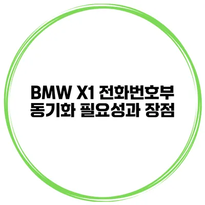 BMW X1 전화번호부 동기화 필요성과 장점