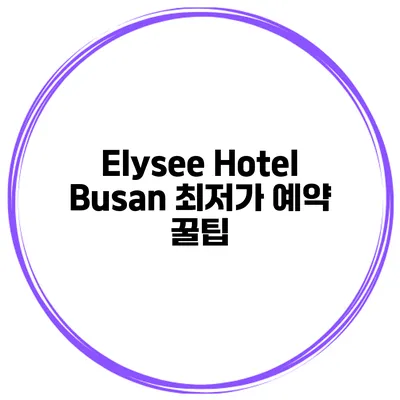Elysee Hotel Busan 최저가 예약 꿀팁
