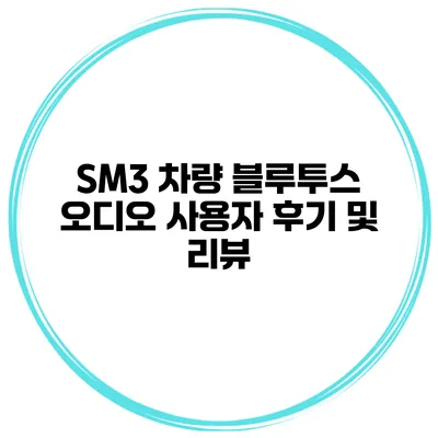SM3 차량 블루투스 오디오 사용자 후기 및 리뷰