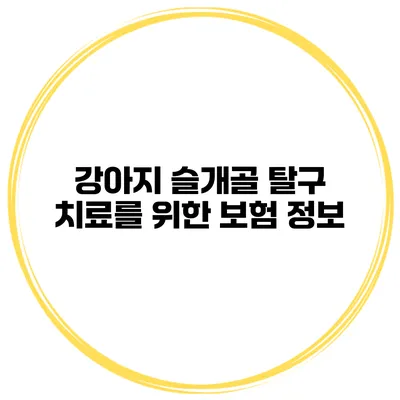 강아지 슬개골 탈구 치료를 위한 보험 정보