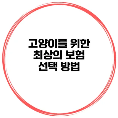 고양이를 위한 최상의 보험 선택 방법