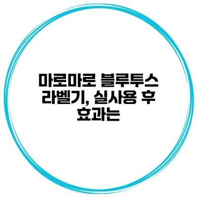 마로마로 블루투스 라벨기, 실사용 후 효과는?