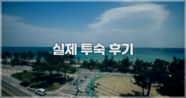 💬 실제 투숙 후기