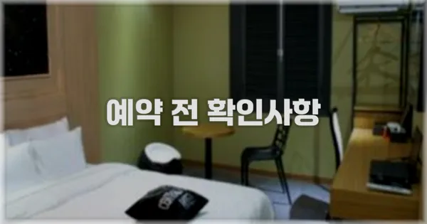 예약 전 확인사항