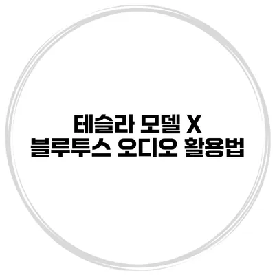 테슬라 모델 X 블루투스 오디오 활용법