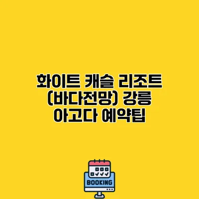 화이트 캐슬 리조트 (바다전망) 강릉 아고다 예약팁